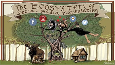 Ecosystem-of-SMM