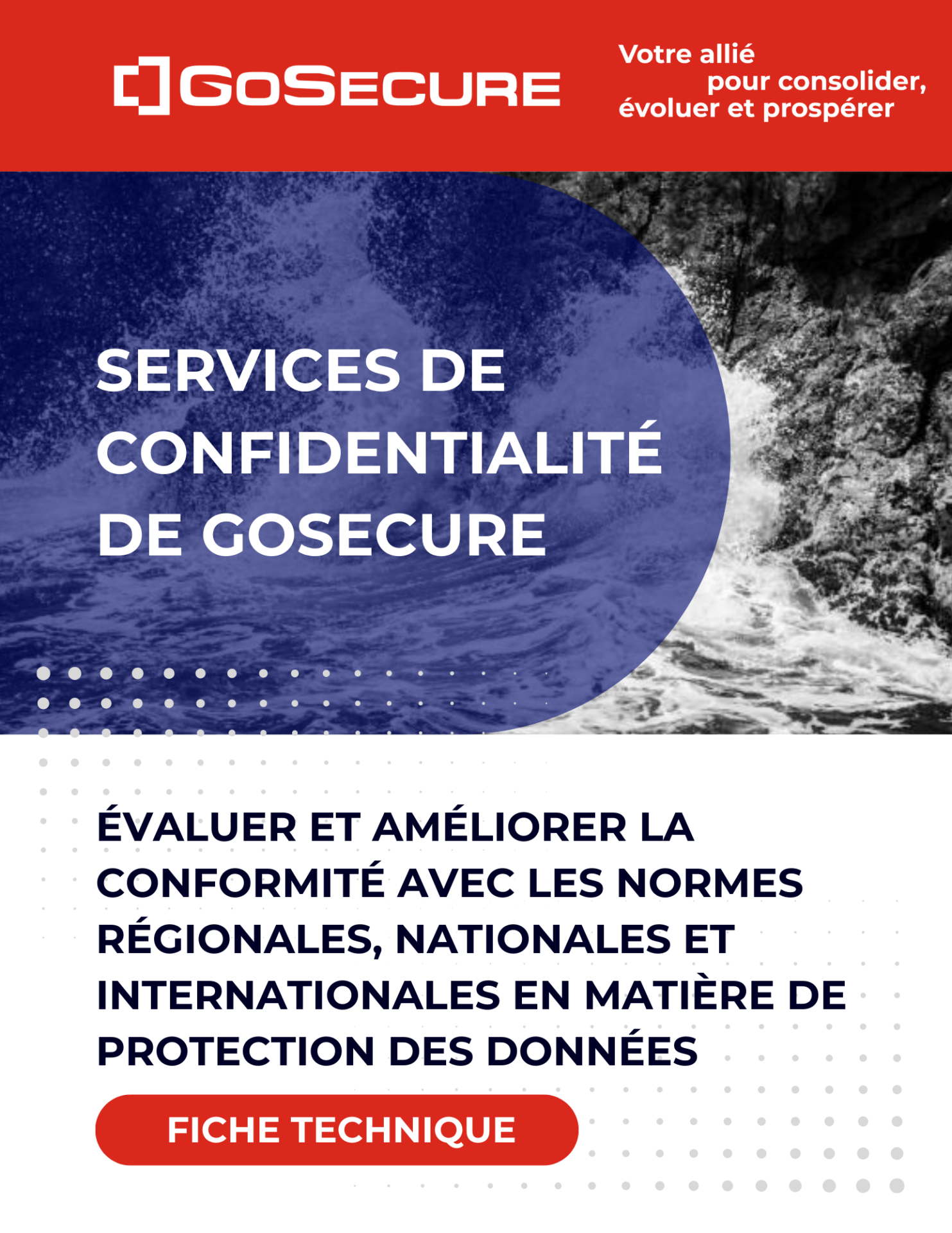 Image de couverture-Fiche technique-Services de confidentialité de GoSecure